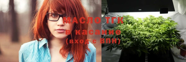 шишки Ельня