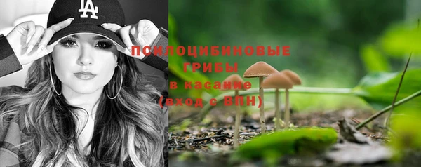 шишки Ельня