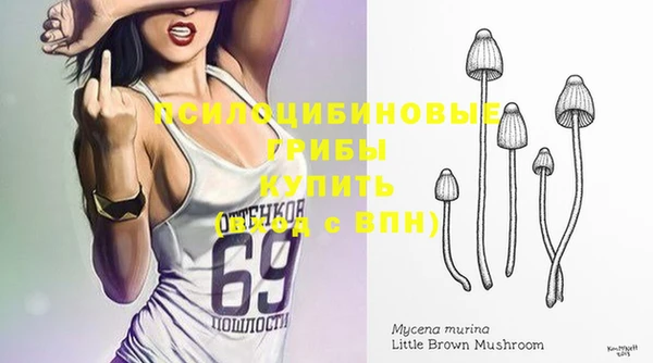 шишки Ельня
