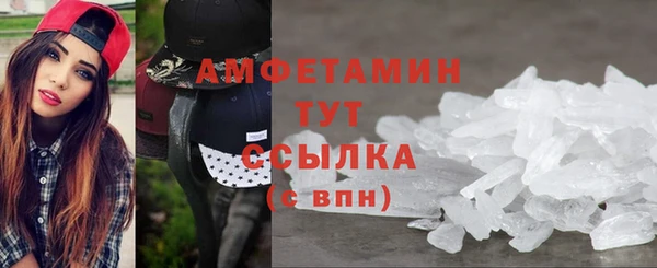 шишки Ельня