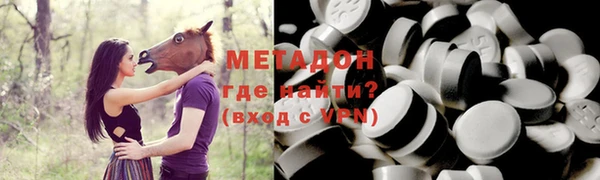 шишки Ельня
