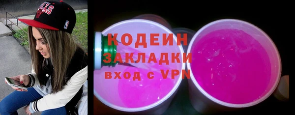 шишки Ельня