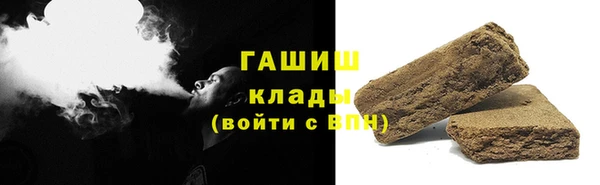 шишки Ельня