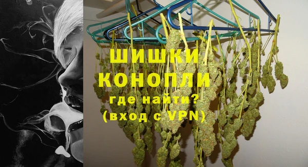 шишки Ельня