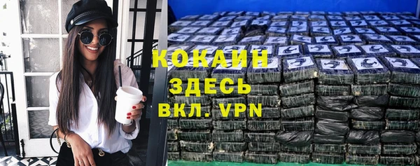 шишки Ельня