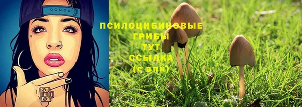 гашик Елабуга