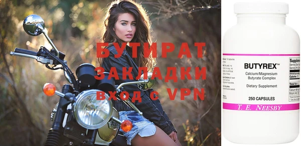 шишки Ельня