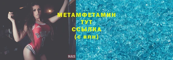 шишки Ельня