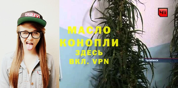 шишки Ельня