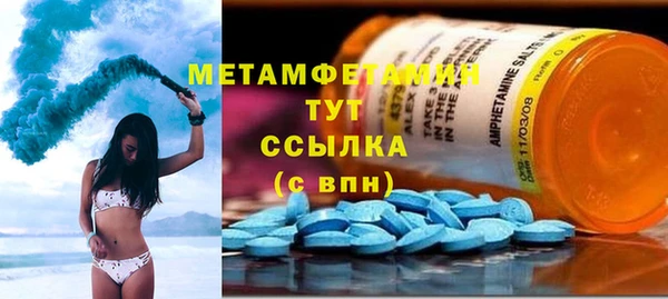 шишки Ельня