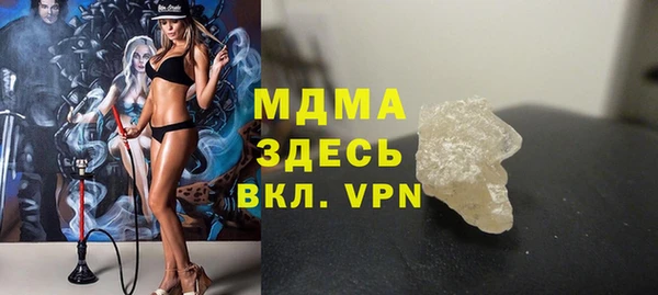шишки Ельня