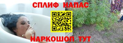 соль ск Гагарин