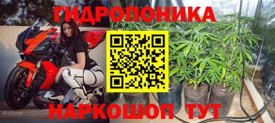 соль ск Гагарин