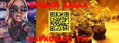 мдпв Гай
