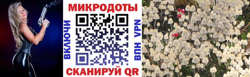 OMG ссылка где можно купить наркотик Елизово Псилоцибиновые грибы мицелий