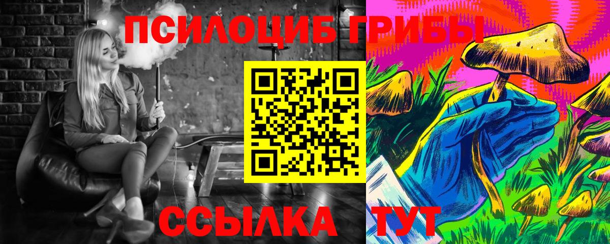 что такое наркотик  Псилоцибиновые грибы ЛСД  Вход с VPN  Елизово 