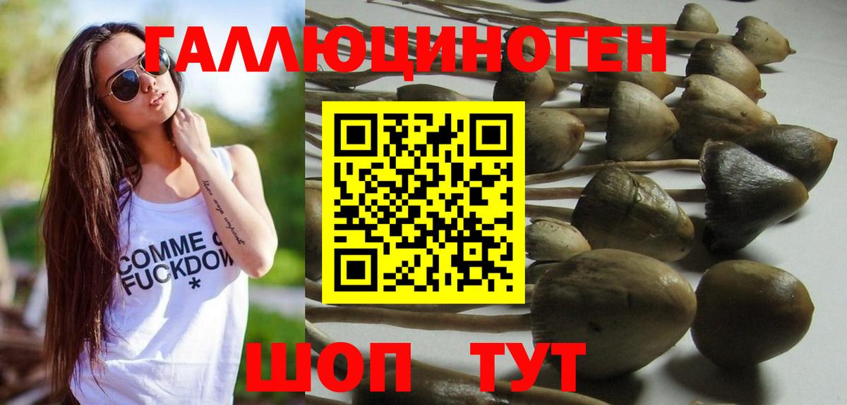 Псилоцибиновые грибы GOLDEN TEACHER Елизово