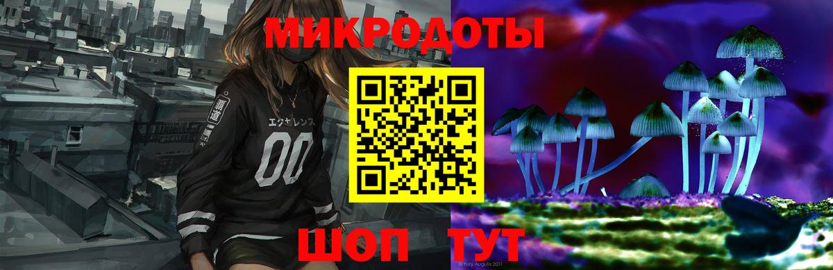 Псилоцибиновые грибы Cubensis Елизово